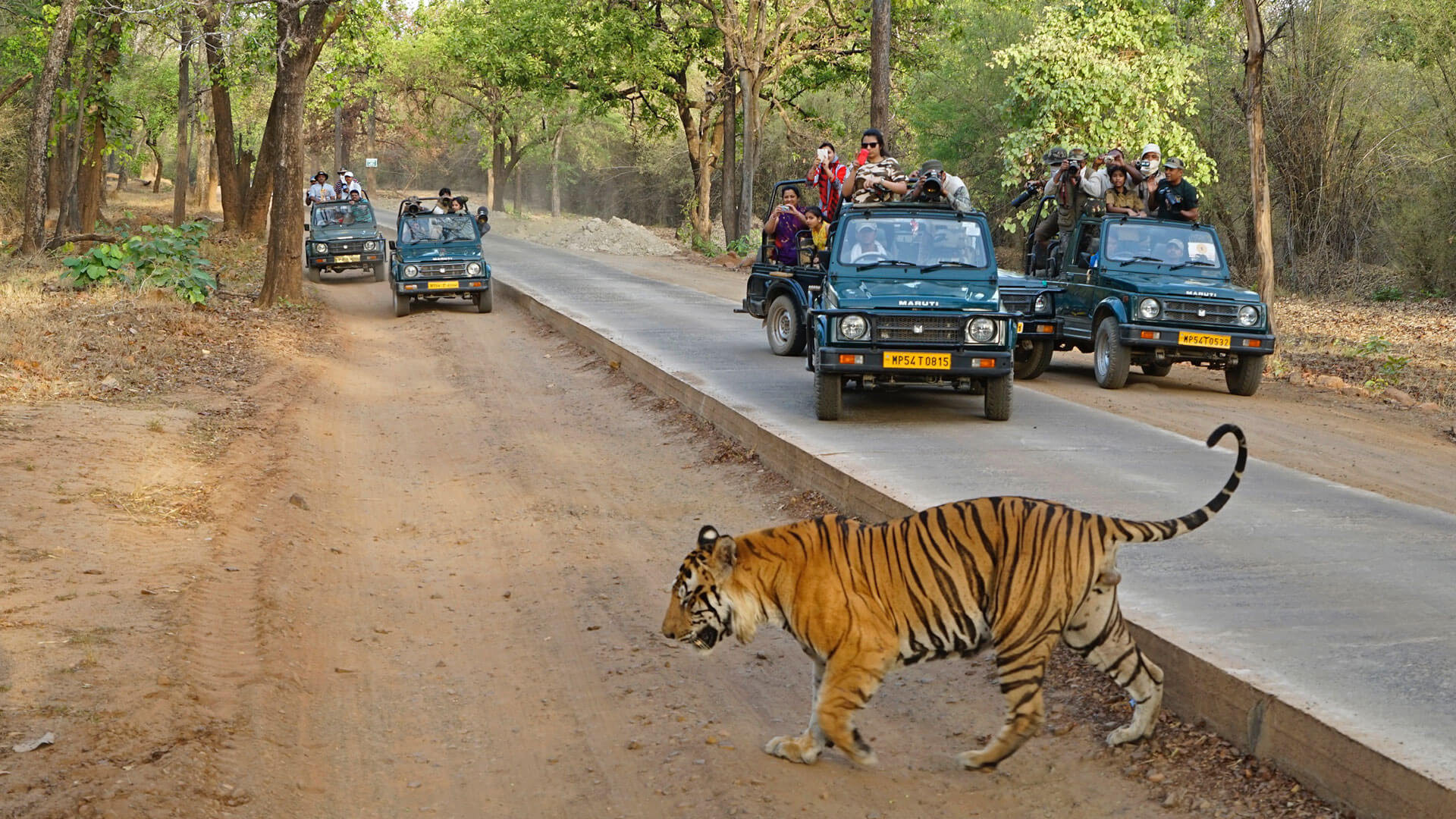 gir national park visit timings